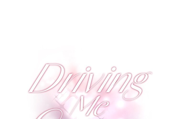 Driving Me Crazy NEW image