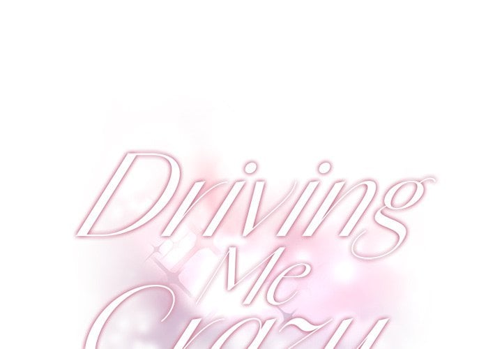 Driving Me Crazy NEW image