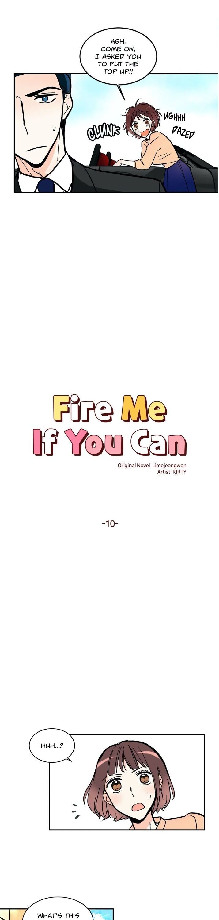 Fire Me If You Can image