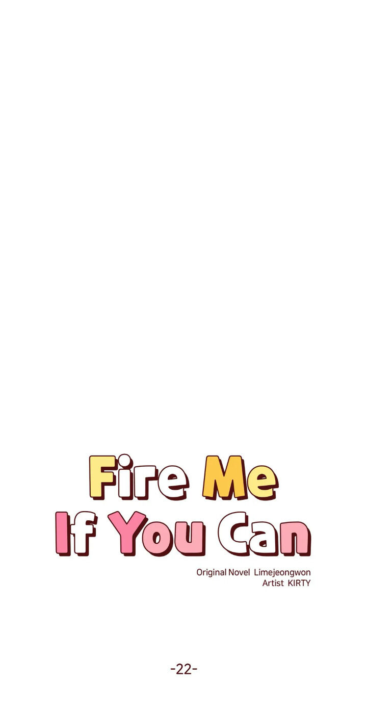 Fire Me If You Can image