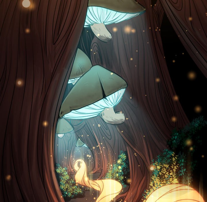 Forest of the Fireflies image