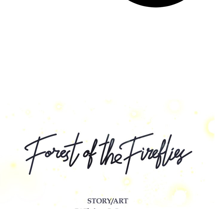 Forest of the Fireflies image