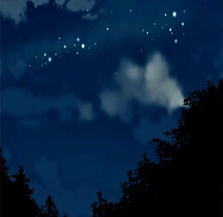 Forest of the Fireflies image