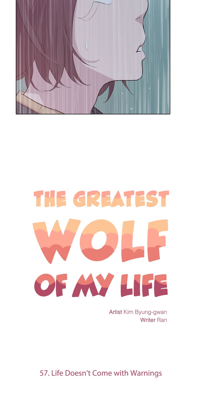 The Greatest Wolf of My Life image