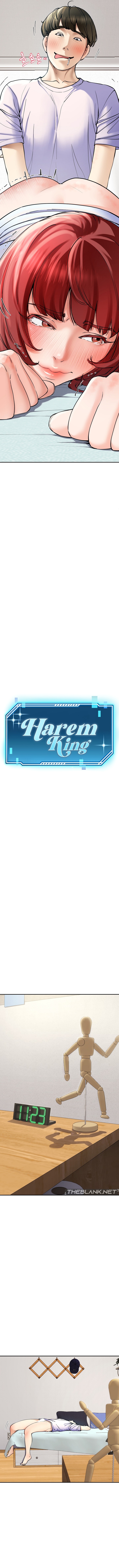 Harem King NEW image