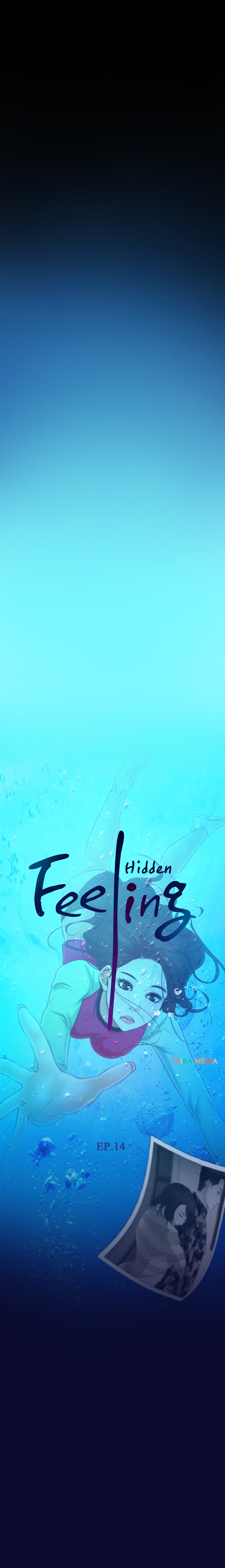 Hidden Feeling image