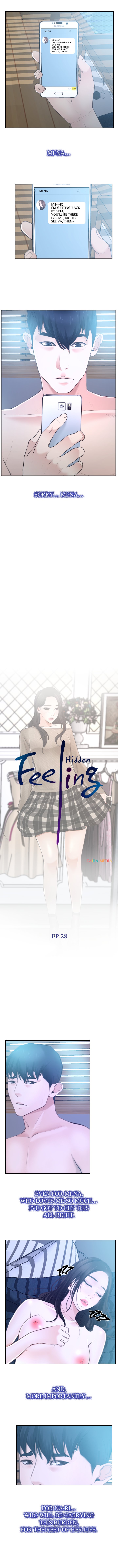 Hidden Feeling image