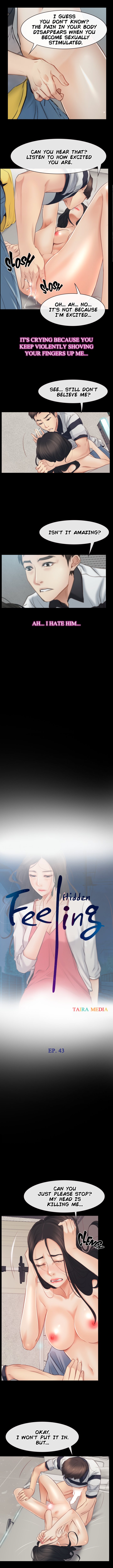 Hidden Feeling image