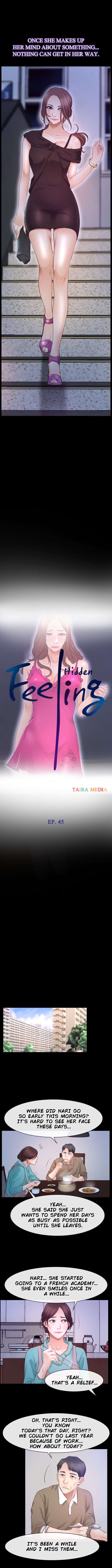 Hidden Feeling image