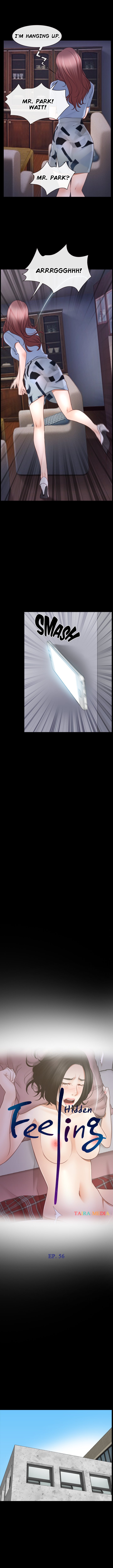 Hidden Feeling image