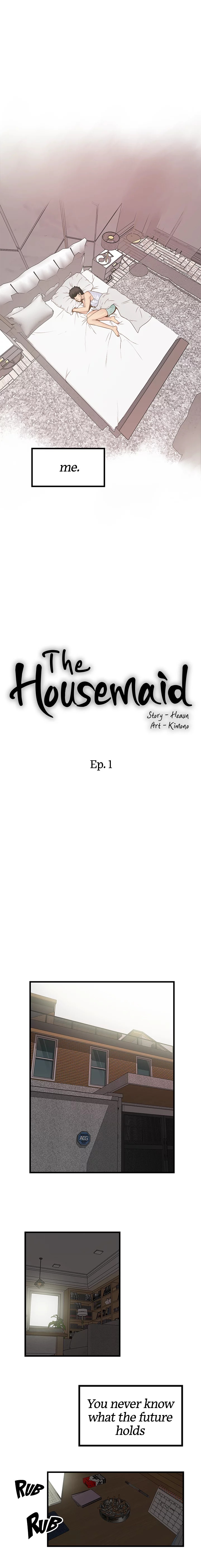 The Housemaid image