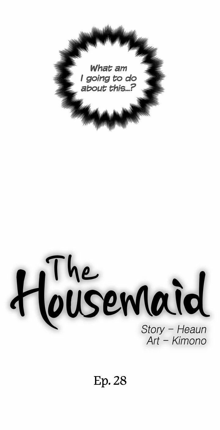 The Housemaid image