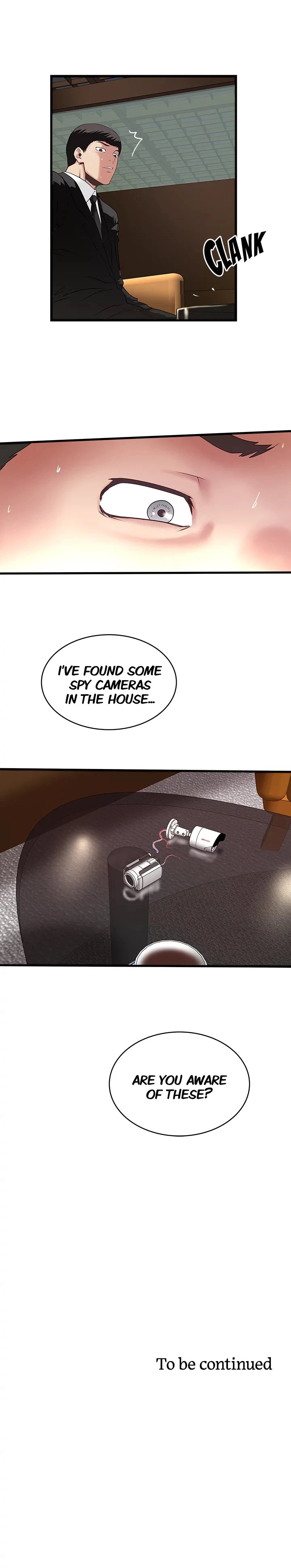 The Housemaid image