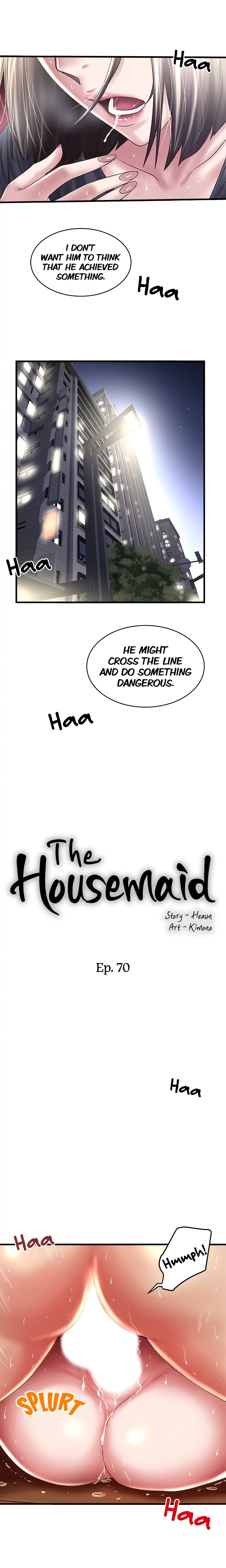 The Housemaid image