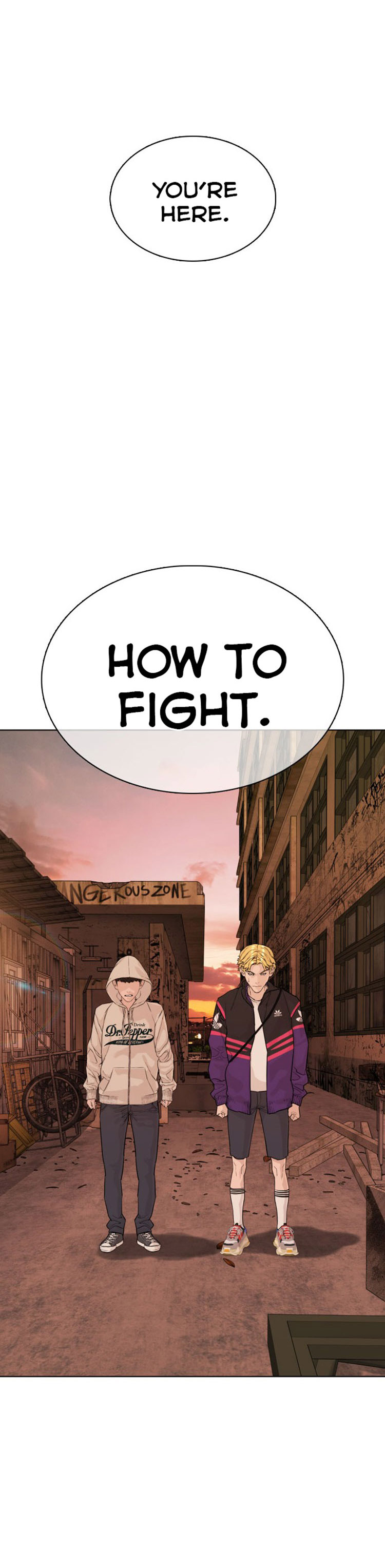 How to Fight image