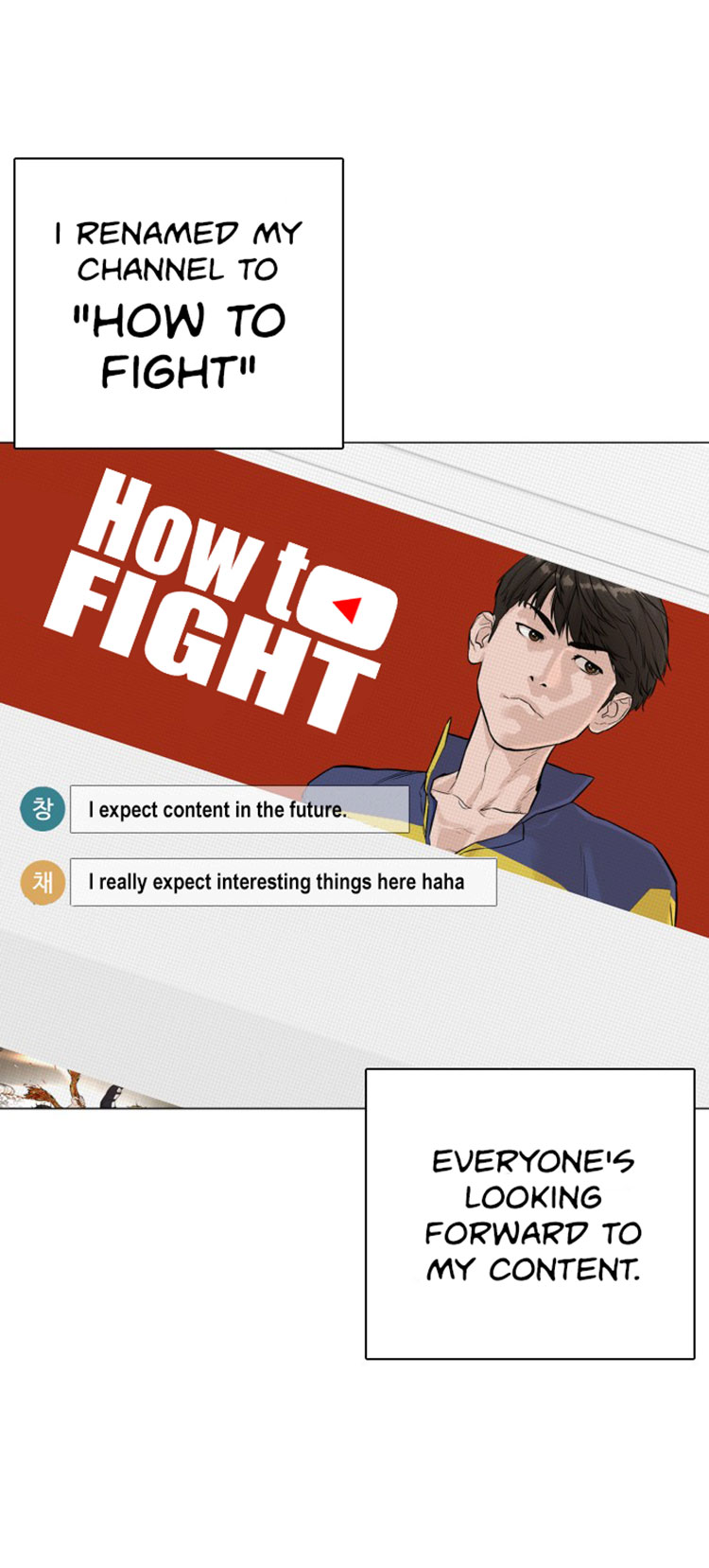 How to Fight image