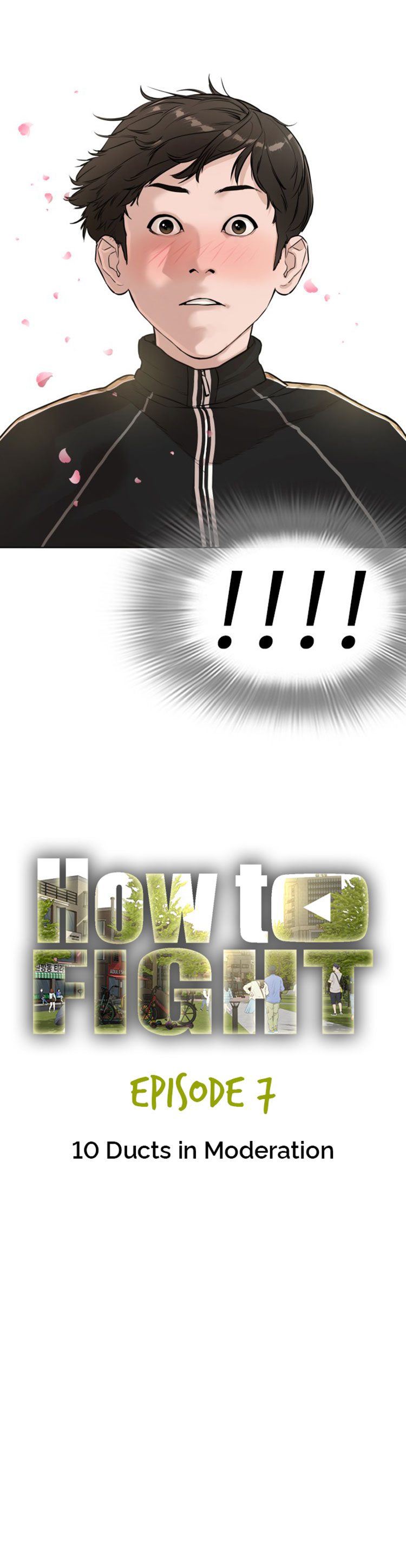 How to Fight image