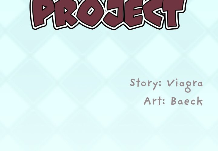 The Idol Project image