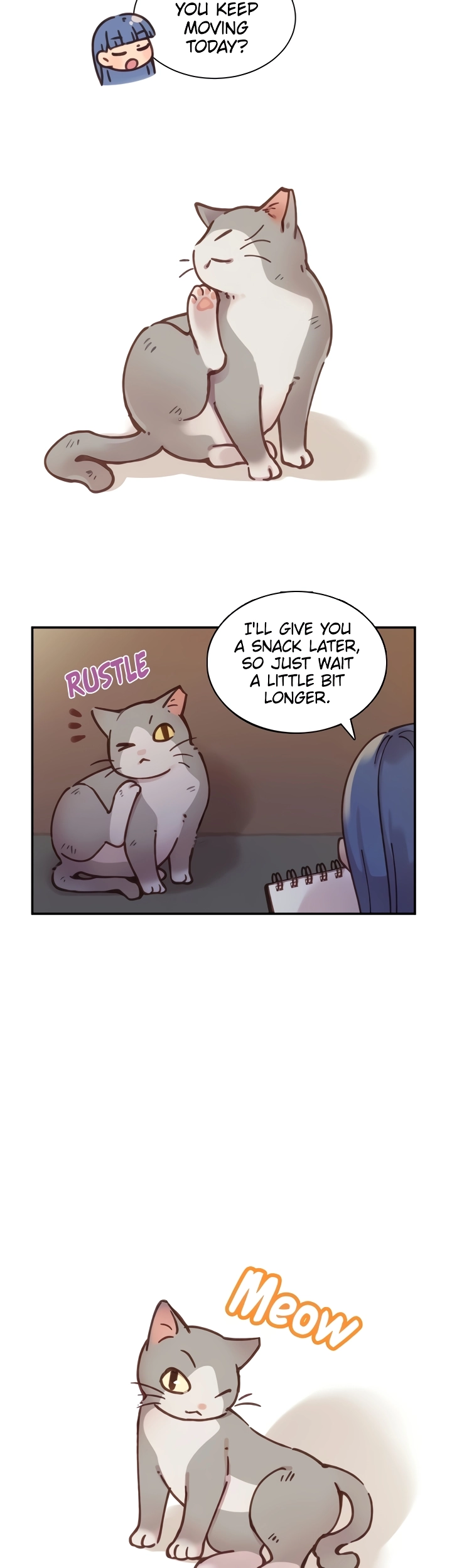 INVITED TO THE CAT CAFÉ image
