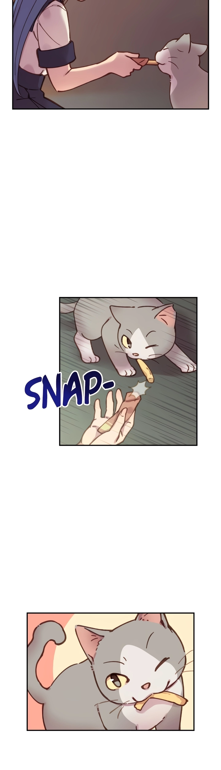 INVITED TO THE CAT CAFÉ image