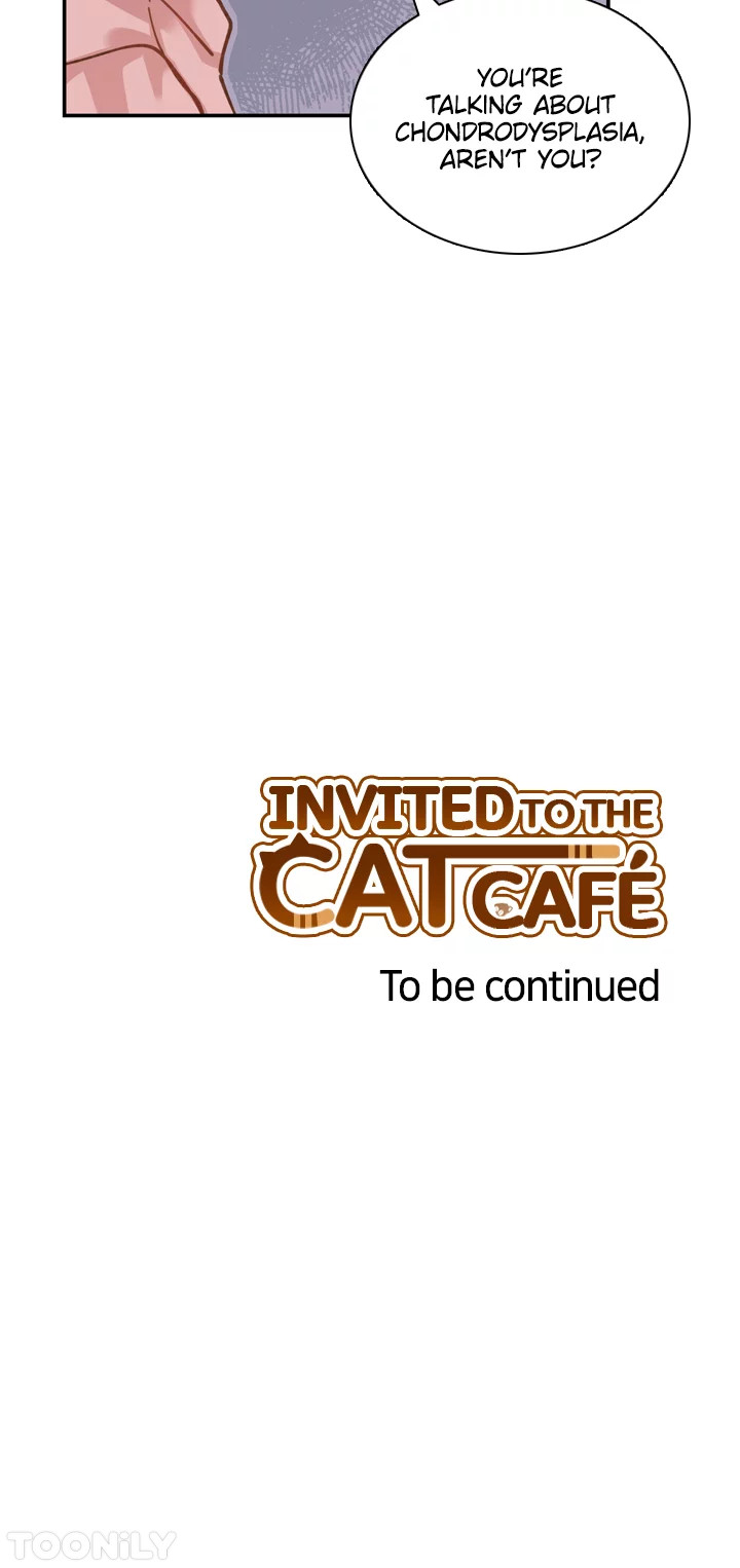 INVITED TO THE CAT CAFÉ image