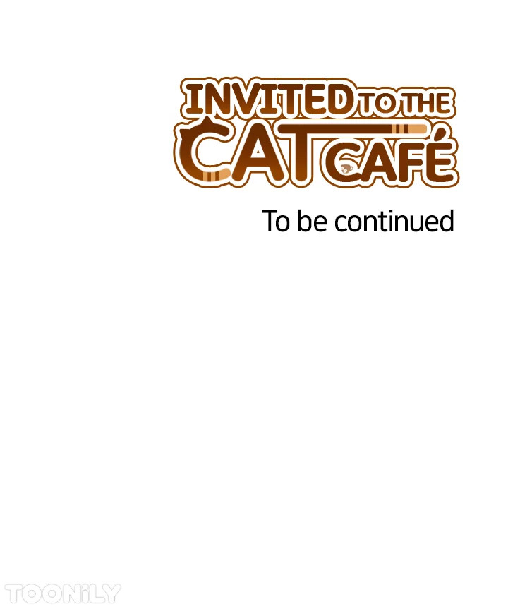 INVITED TO THE CAT CAFÉ image