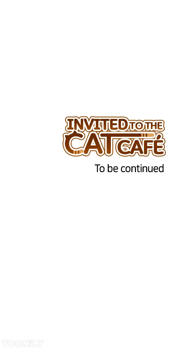 INVITED TO THE CAT CAFÉ image