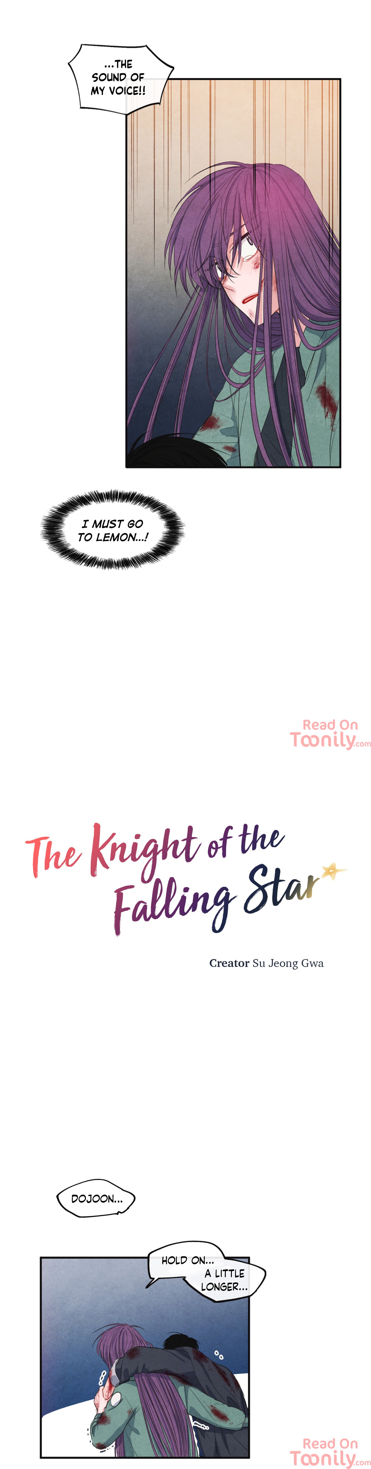 The Knight of the Falling Star image