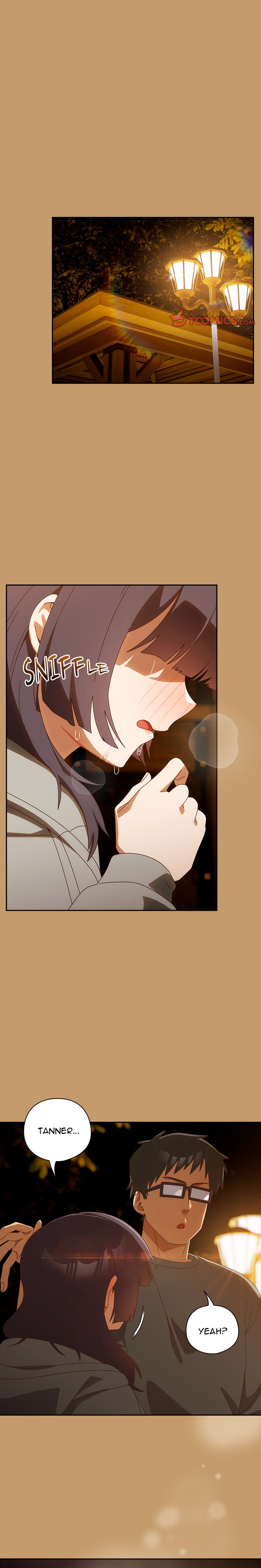 Like No Other NEW image