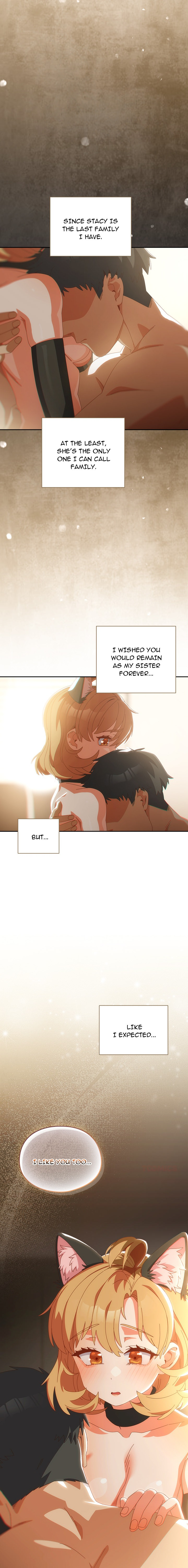 Like No Other NEW image