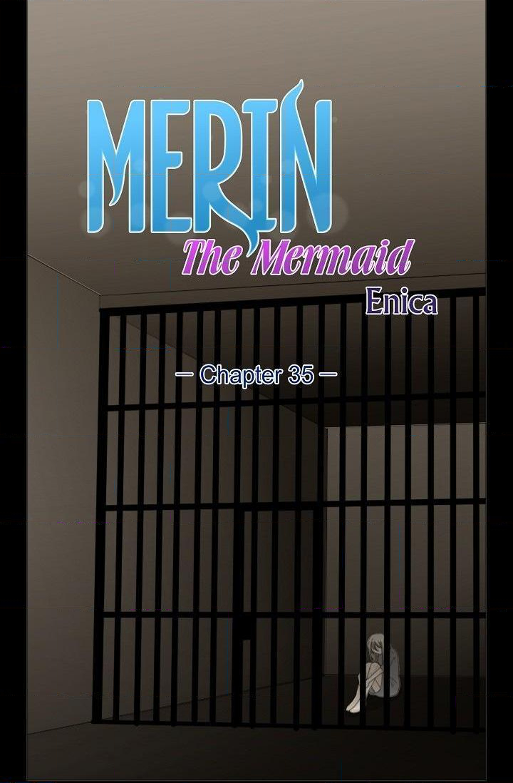 Merin the Mermaid image