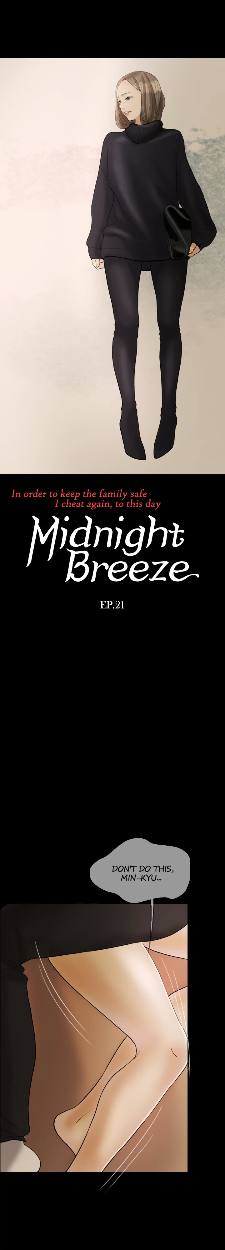 Midnight Breeze image