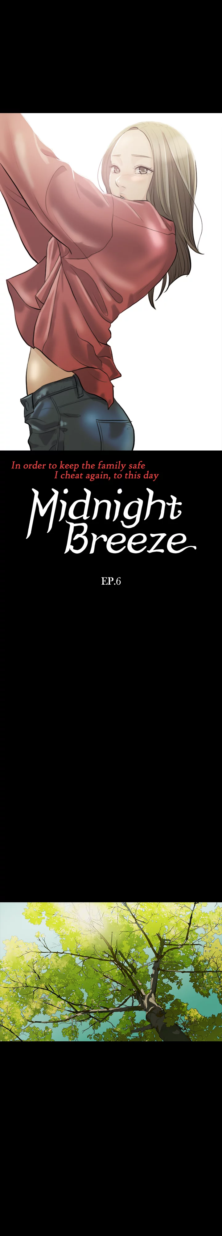 Midnight Breeze image