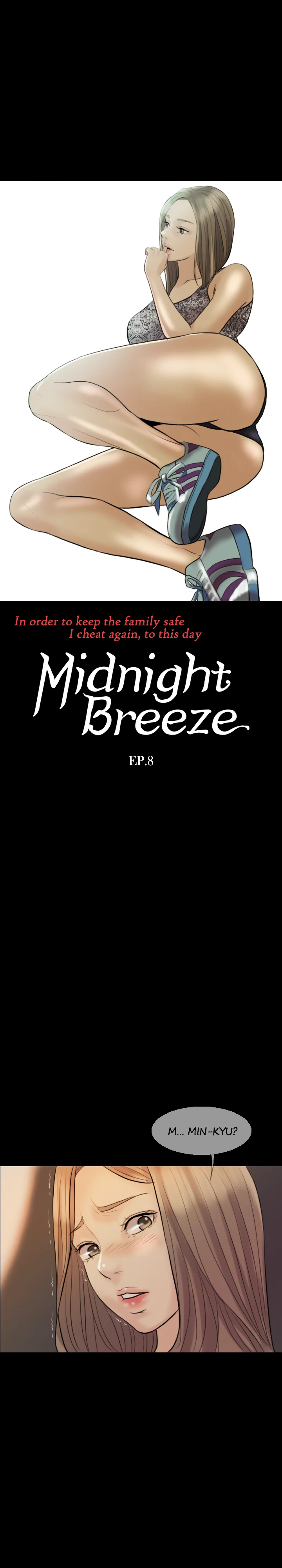 Midnight Breeze image