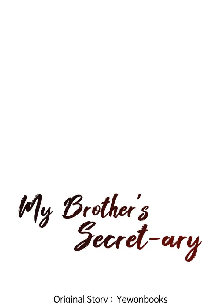 My Brother’s Secret-ary image