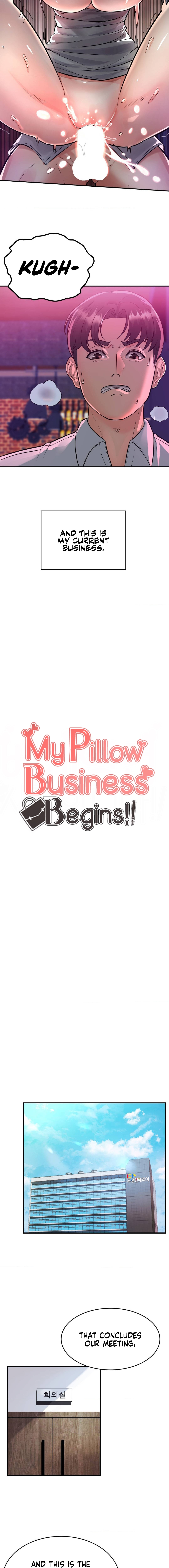 My Pillow Business Begins! NEW image