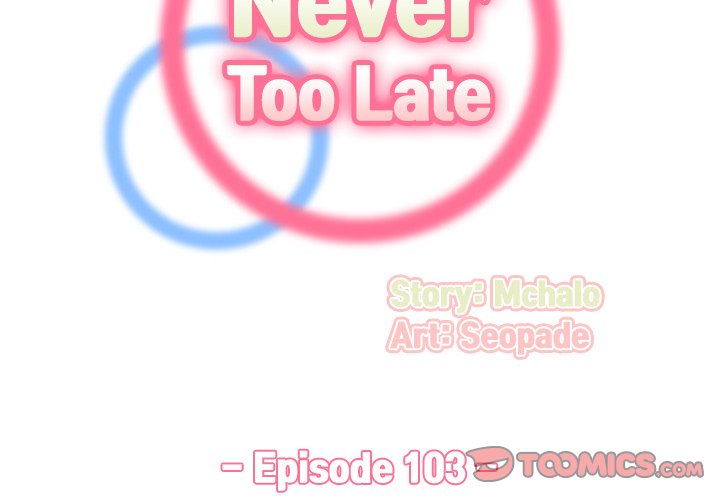 Never Too Late image