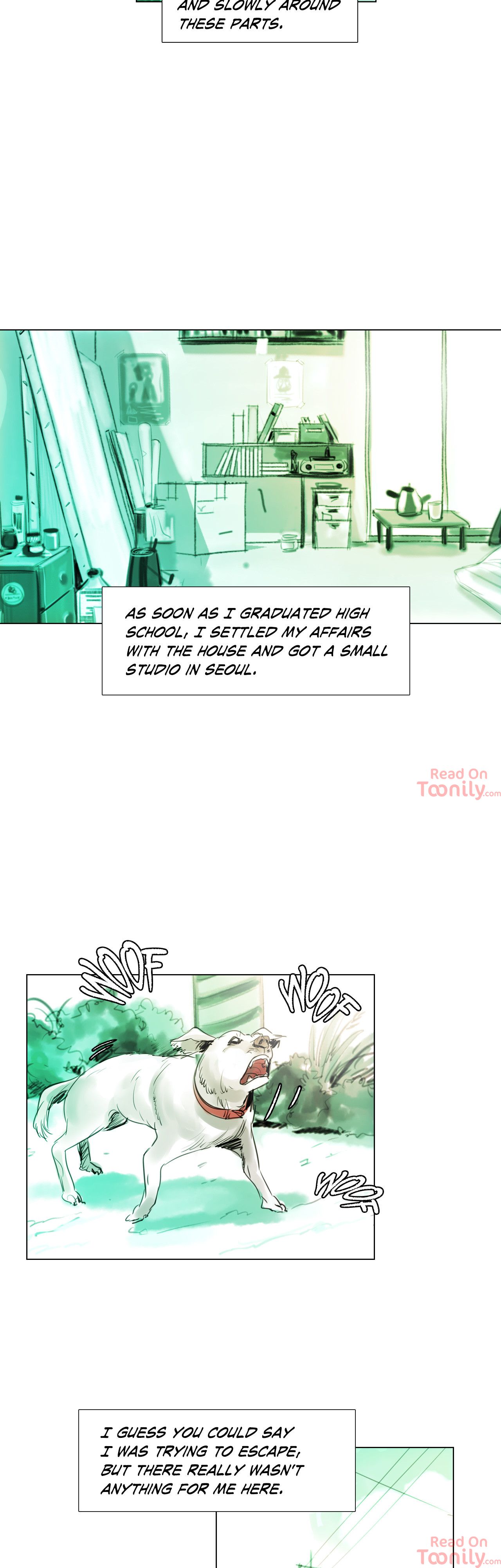 Origin of Sensibility image
