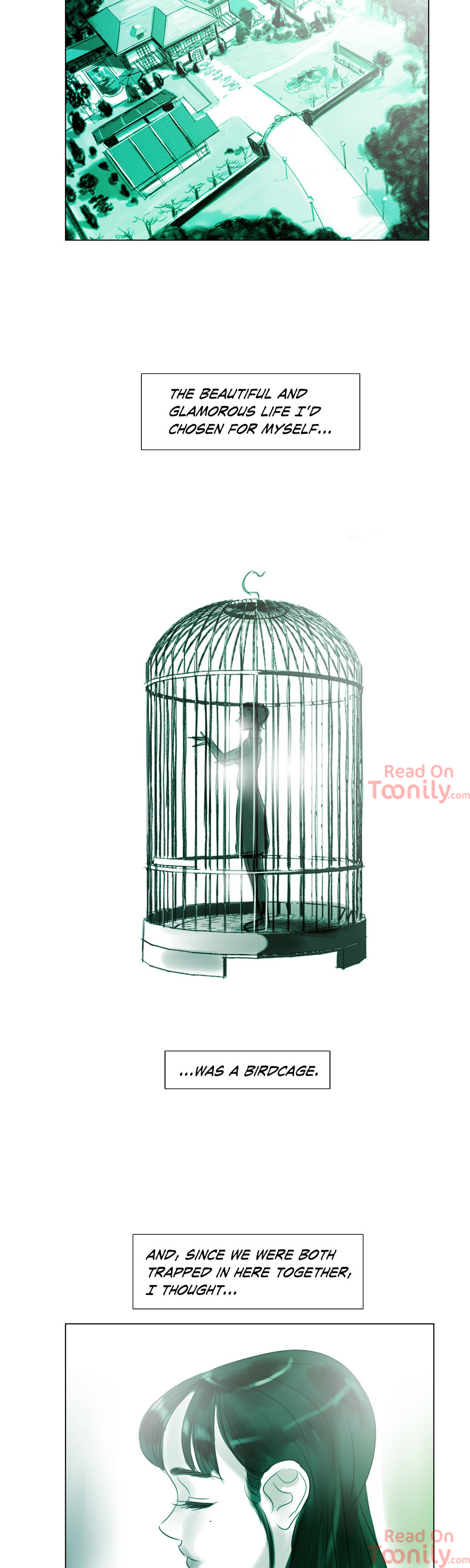 Origin of Sensibility image