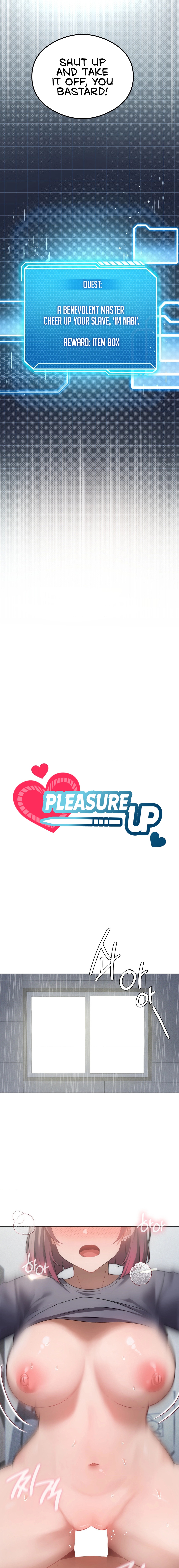 Pleasure up NEW image