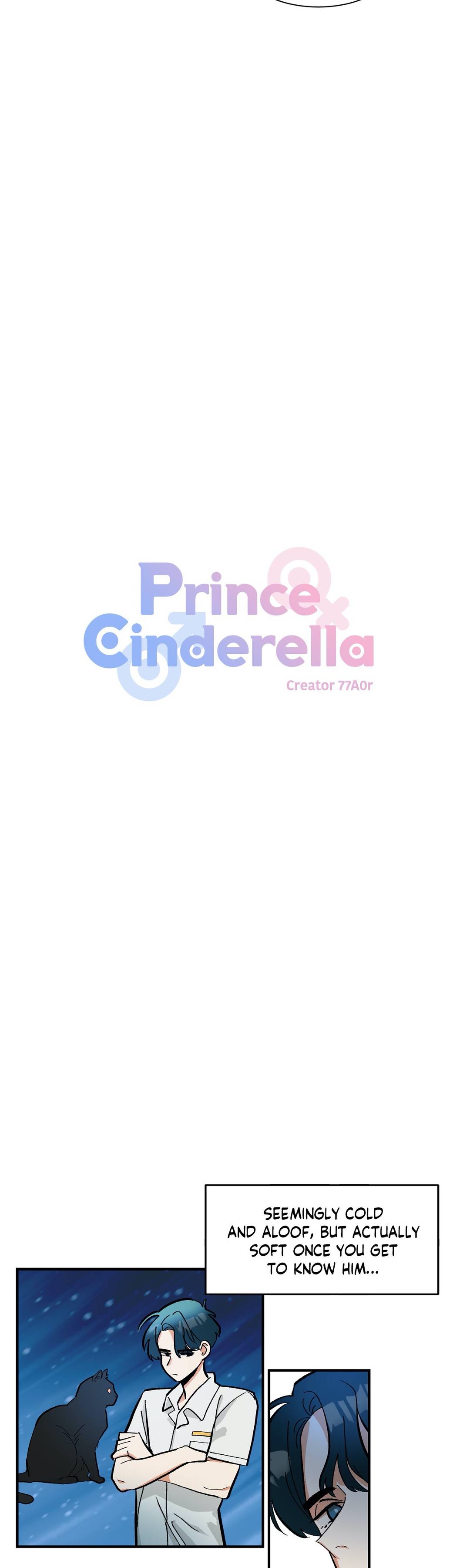 Prince Cinderella image