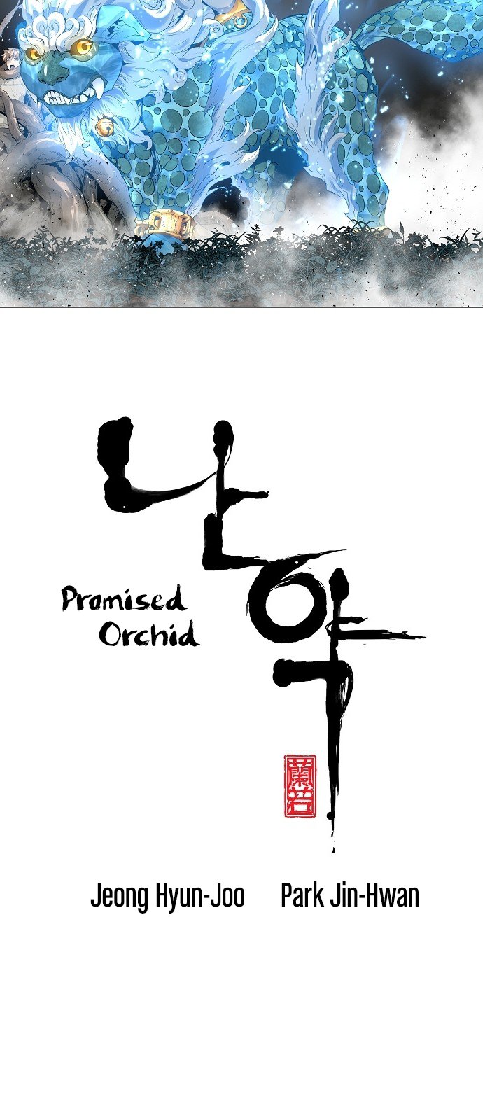 Promised Orchid image