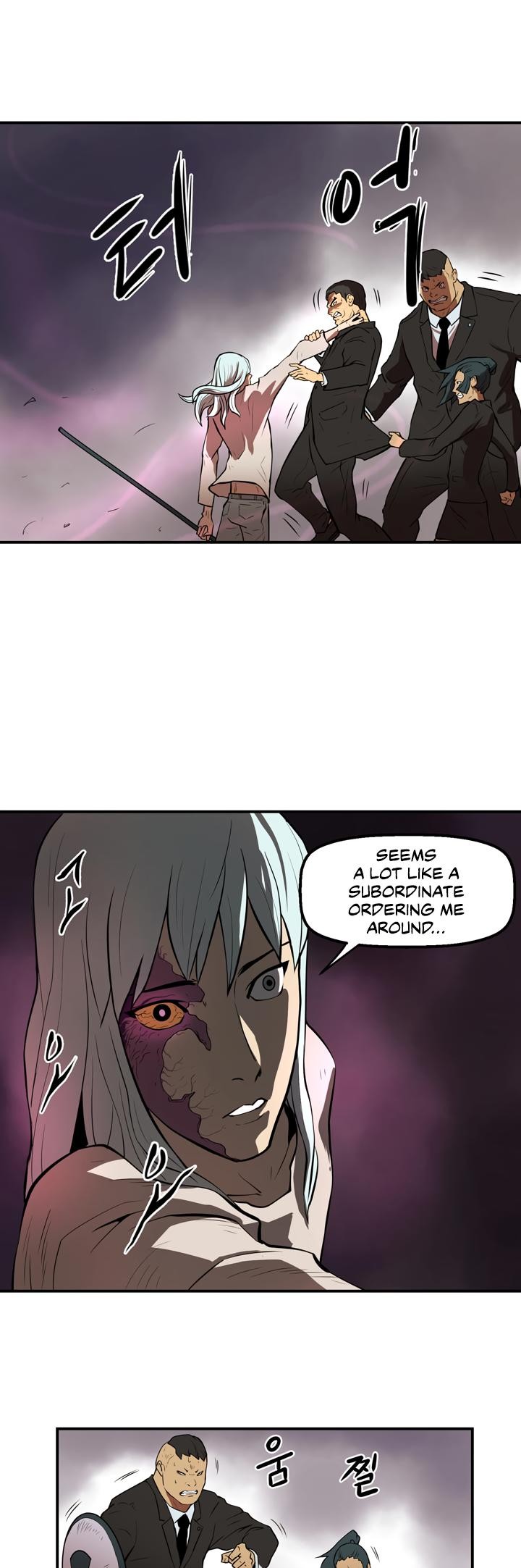 Raid image