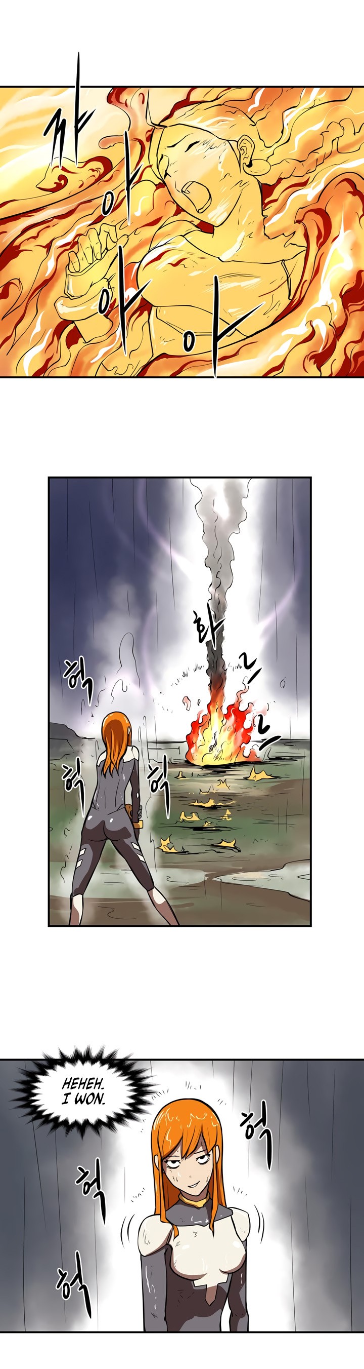 Raid image