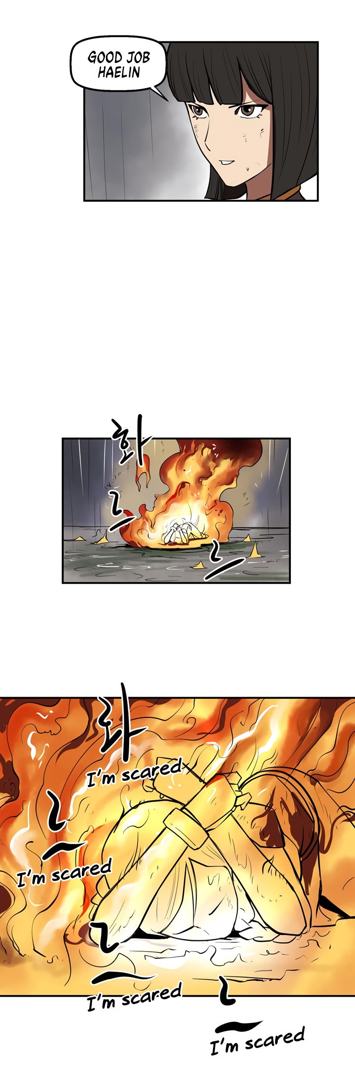 Raid image