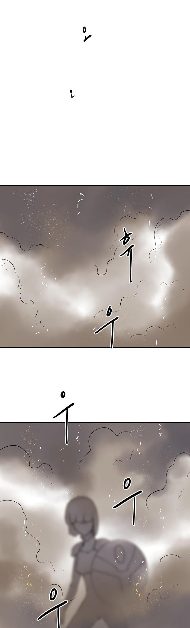 Raid image