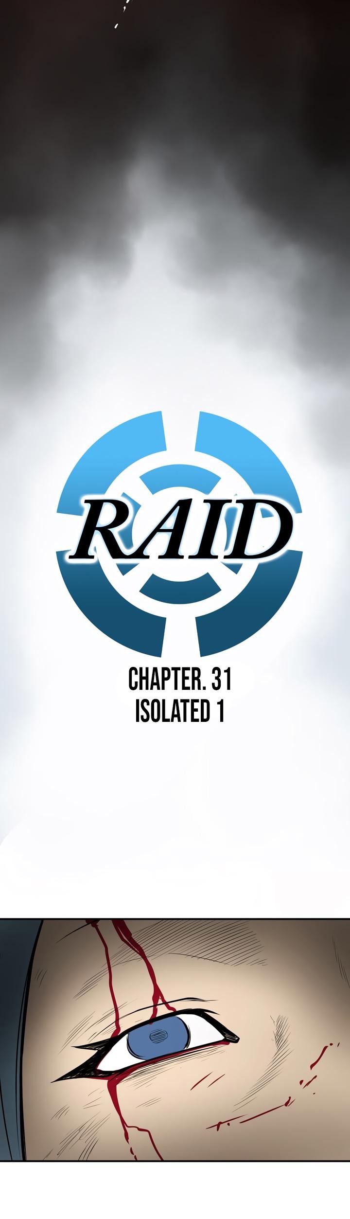 Raid image