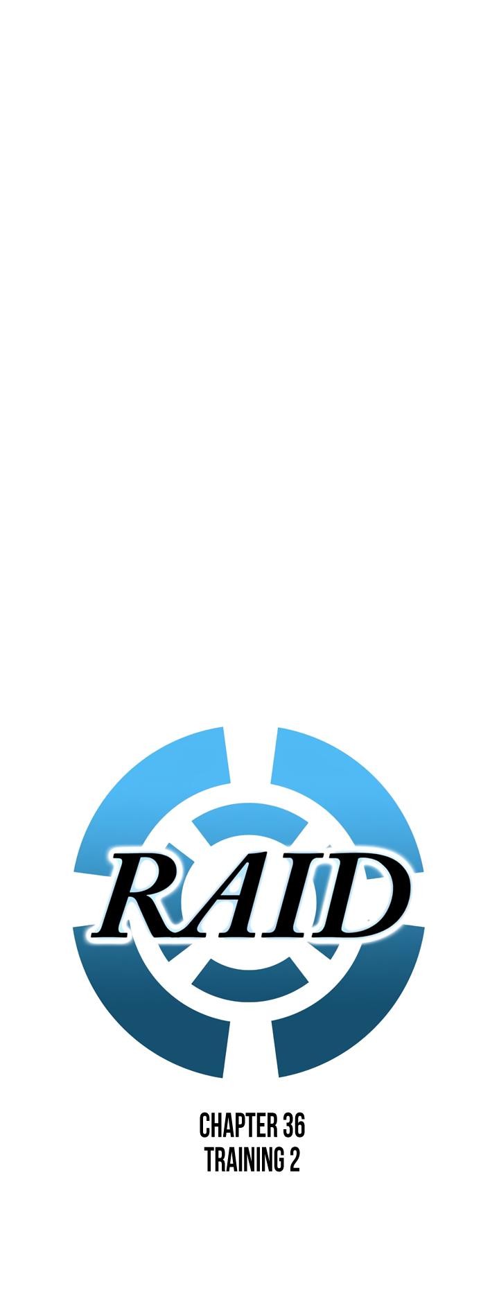 Raid image