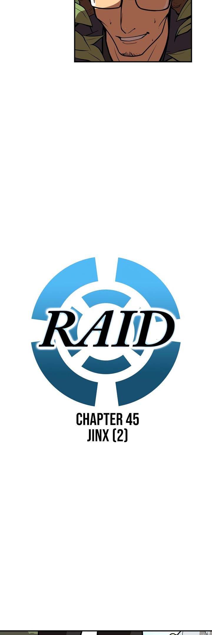 Raid image