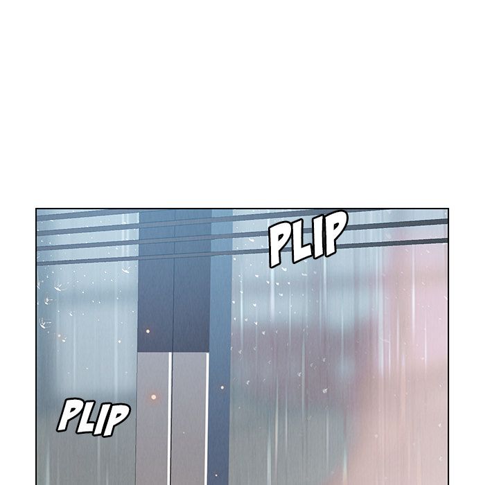 Rain Curtain image